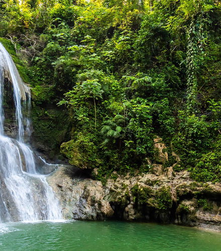 Foto de Excursión a las cascadas de Gozalandia