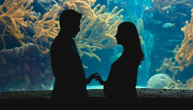 Entrada al Acuario de Génova + Degustación de helado - Foto 5