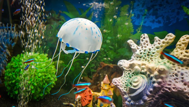 Entrada al Acuario de Génova + Degustación de helado - Foto 4