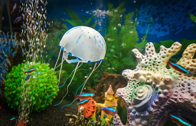 Entrada al Acuario de Génova + Degustación de helado - Foto 4