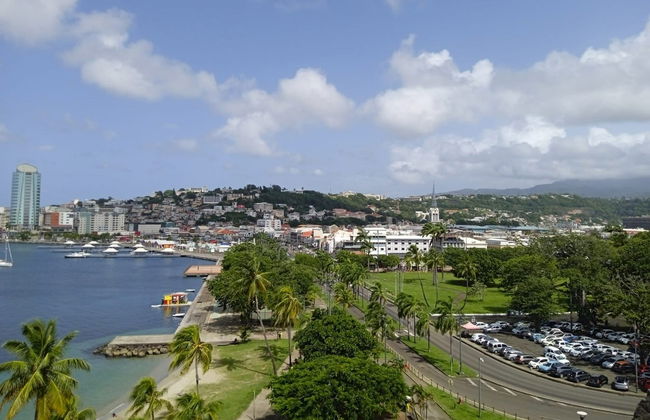 Tour por el norte de Martinica - Foto 2