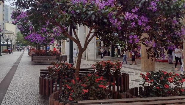 Free tour por Curitiba - Foto 3