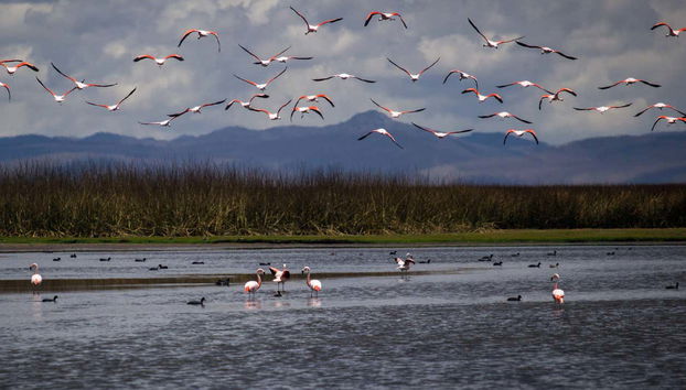 Huayllay National Sanctuary Tour - Photo 2