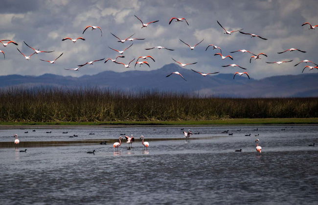 Huayllay National Sanctuary Tour - Foto 7