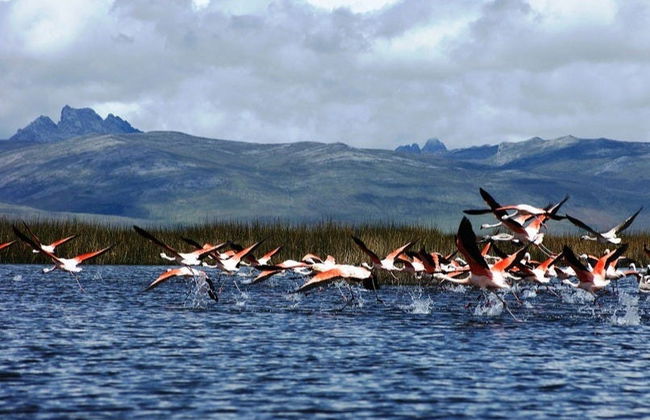 Excursão ao Santuário Nacional de Huayllay - Foto 2