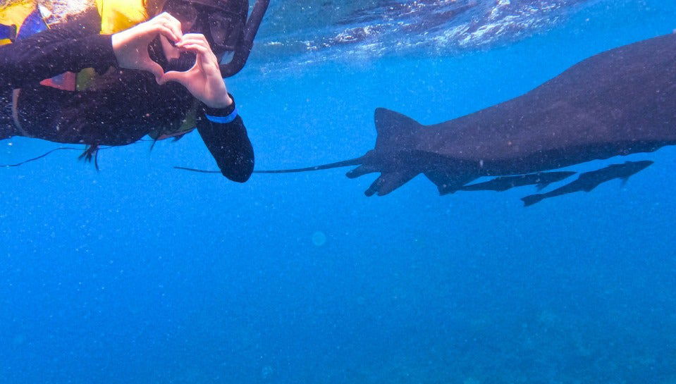 Nusa Lembongan Snorkeling