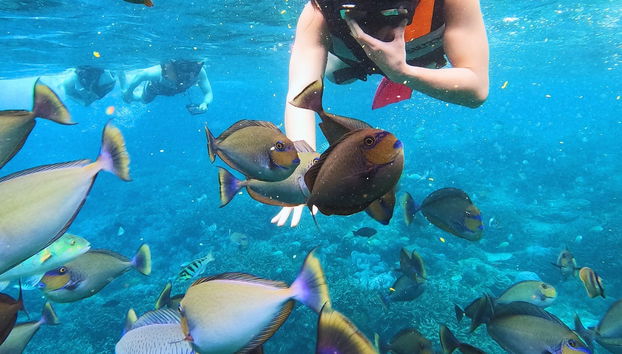 Dive into an underwater world in Indonesia