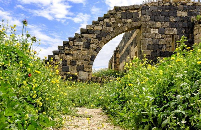 Um Qais e Pella - Tour di un'intera giornata - Foto 3