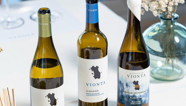 Visita a las bodegas Vionta - Foto 2