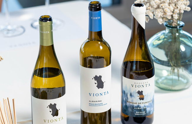 Visita a las bodegas Vionta - Foto 2