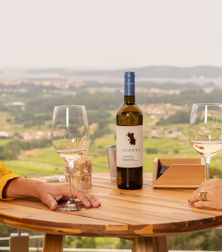 Foto de Visita a las bodegas Vionta