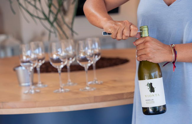 Visita a las bodegas Vionta - Foto 6