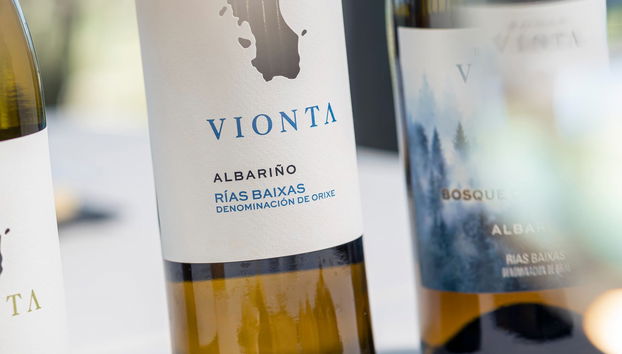 Visita a las bodegas Vionta - Foto 4