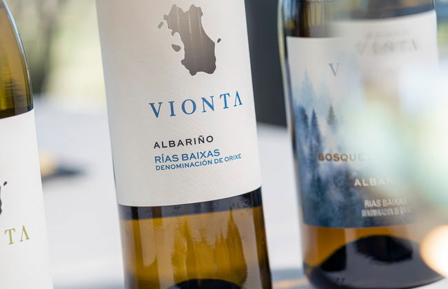 Visita a las bodegas Vionta - Foto 4