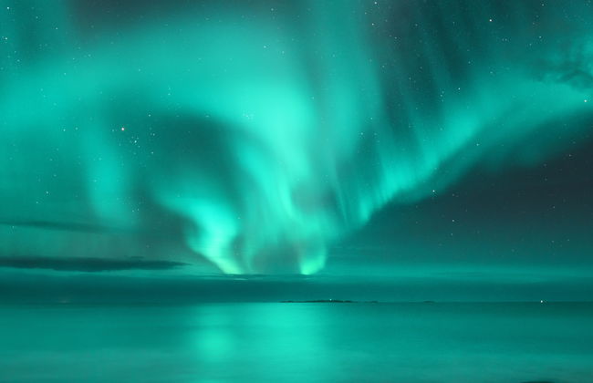 Tour dell'aurora boreale a Bodø - Foto 6