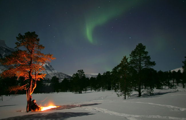 Tour dell'aurora boreale a Bodø - Foto 2