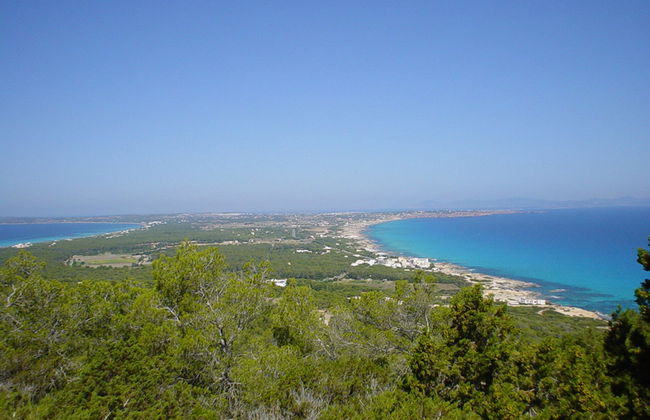 Discover Formentera by Bike - Photo 3