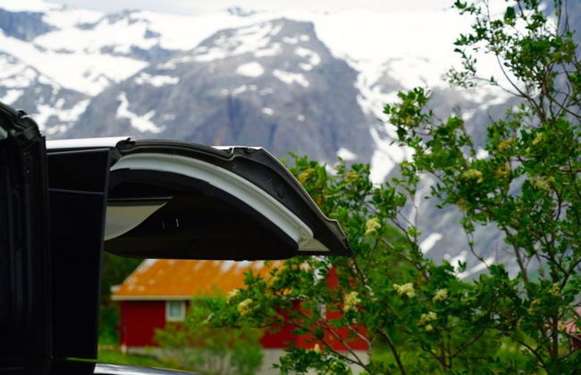 Tour panorámico por los fiordos noruegos en Tesla - Foto 4