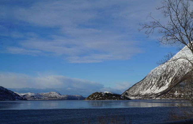 Tour panorámico por los fiordos noruegos en Tesla - Foto 3