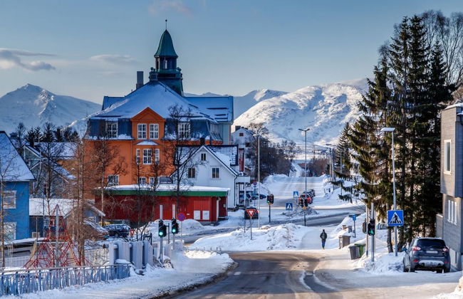 Tour panorámico por los fiordos noruegos en Tesla - Foto 6