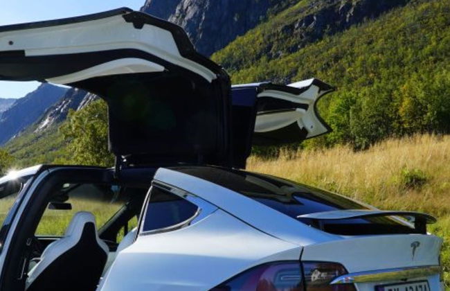 Tour panorámico por los fiordos noruegos en Tesla - Foto 7