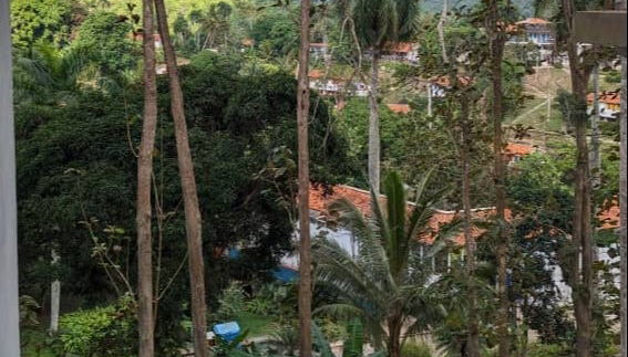 Day Trip to Viñales Valley & Las Terrazas - Photo 4