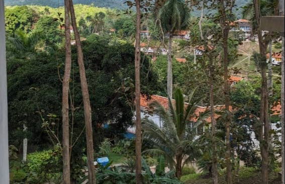 Day Trip to Viñales Valley & Las Terrazas - Photo 4