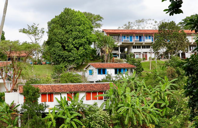 Day Trip to Viñales Valley & Las Terrazas - Photo 8
