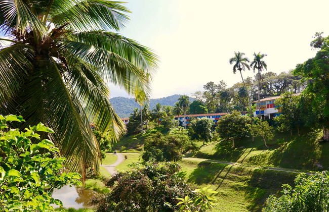 Day Trip to Viñales Valley & Las Terrazas - Photo 6