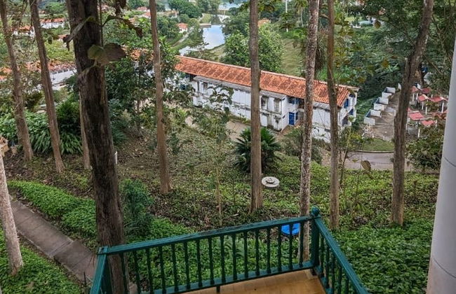 Day Trip to Viñales Valley & Las Terrazas - Photo 3