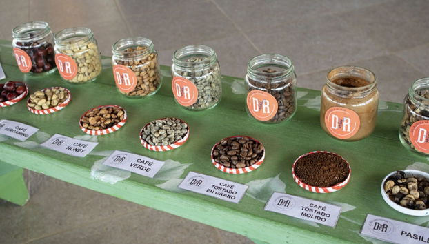 Coffee Tour in Jerico - Photo 4