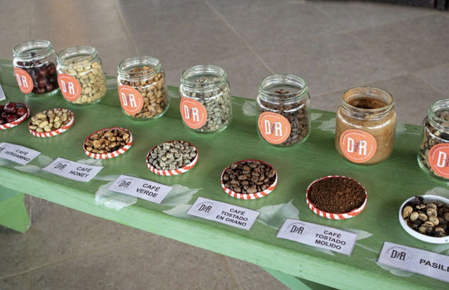 Coffee Tour in Jerico - Photo 4