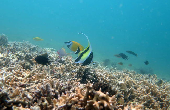 Excursion privée à Gili Layar, Gili Rengit et Gili Gede - Photo 3
