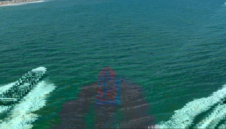 Ocean City Speedboat Tour & Dolphin Watching - Photo 1