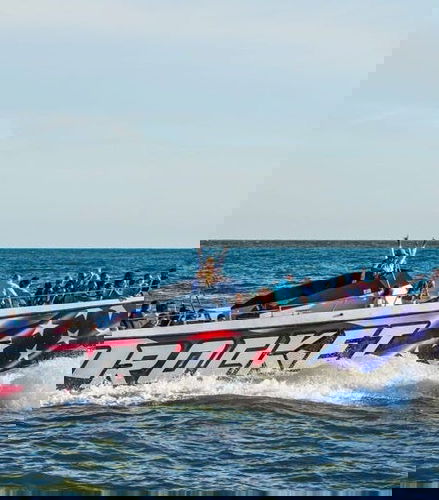 Photo - Observation de dauphins à Ocean City