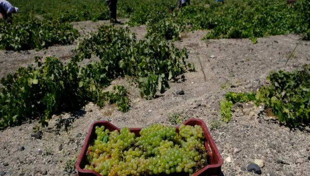 Santorini Eterna: Un Paseo por el Pueblo y Degustación de Vinos con Traslados - Tour Privado - Foto 4