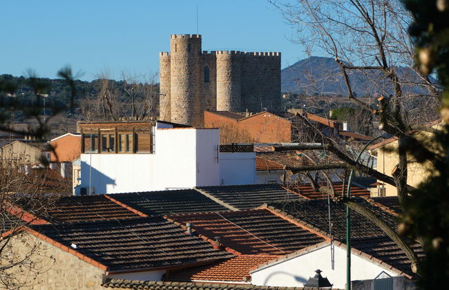 Visite dans San Martín de Valdeiglesias avec déjeuner - Photo 8