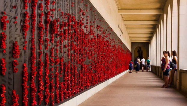 Escursione a Canberra - Foto 4