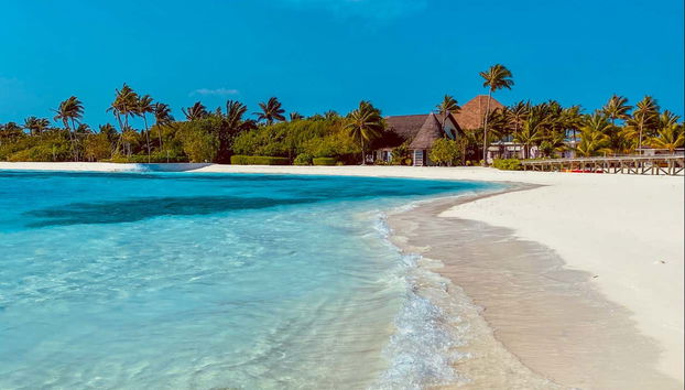 Sri Lanka & Maldives 11-Day Trip - Foto 3