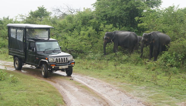 Sri Lanka & Maldives 11-Day Trip - Foto 4