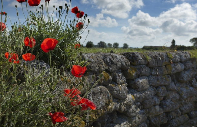 Excursión a los Campos de Flandes - Foto 4