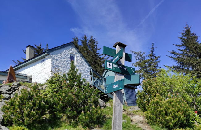 Trekking privato ai monti Fløyen e Rundemanen - Foto 6