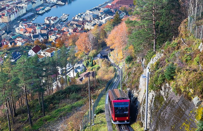 Trekking privato ai monti Fløyen e Rundemanen - Foto 7