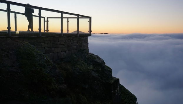 Mount Fløyen + Rundemanen Private Hiking Tour - Foto 4