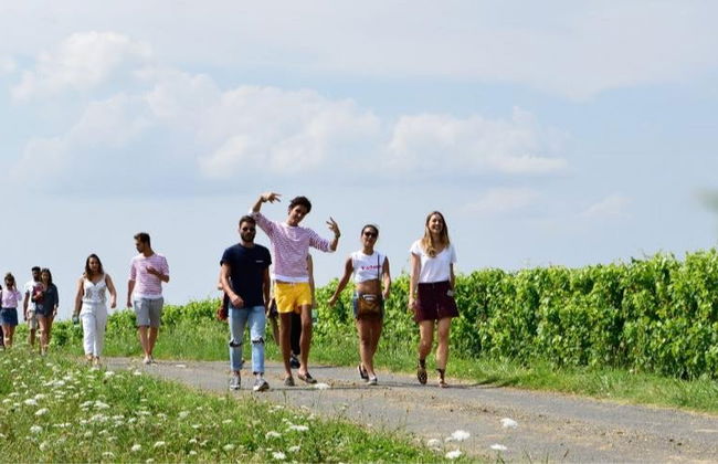 Visita a un viñedo de Saumur - Foto 5