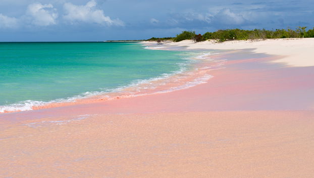 Excursão à ilha de Barbuda - Foto 5