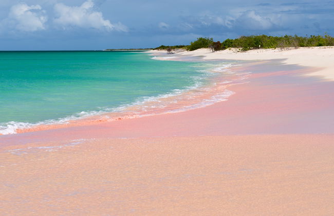 Excursão à ilha de Barbuda - Foto 5