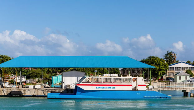 Excursión a la isla de Barbuda - Foto 2