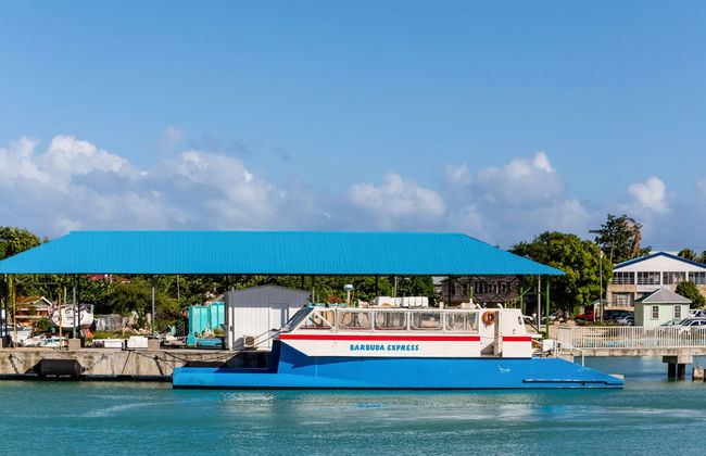 Excursión a la isla de Barbuda - Foto 2