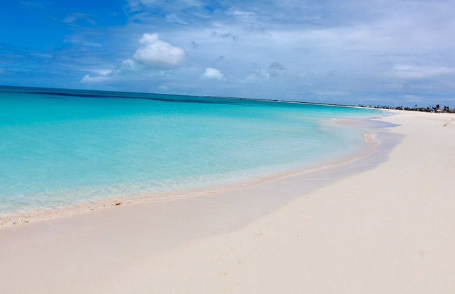 Excursión a la isla de Barbuda - Foto 6